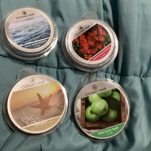 Goose Creek wax melts Wild Green Apple Day in the Sun White Water Springs